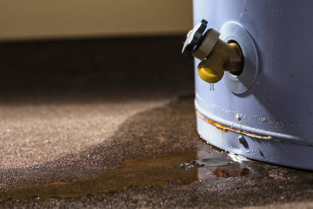 Best Residential water damage restoration  in Iowa City, IA