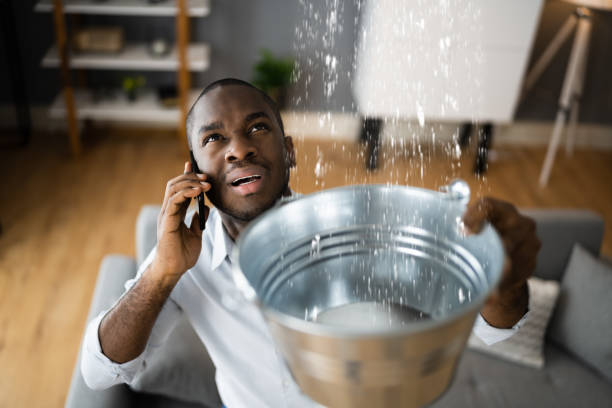 Best Sewage cleanup and water damage restoration  in Iowa City, IA