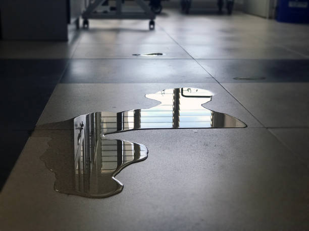 Best Water damage cleanup near me  in Iowa City, IA